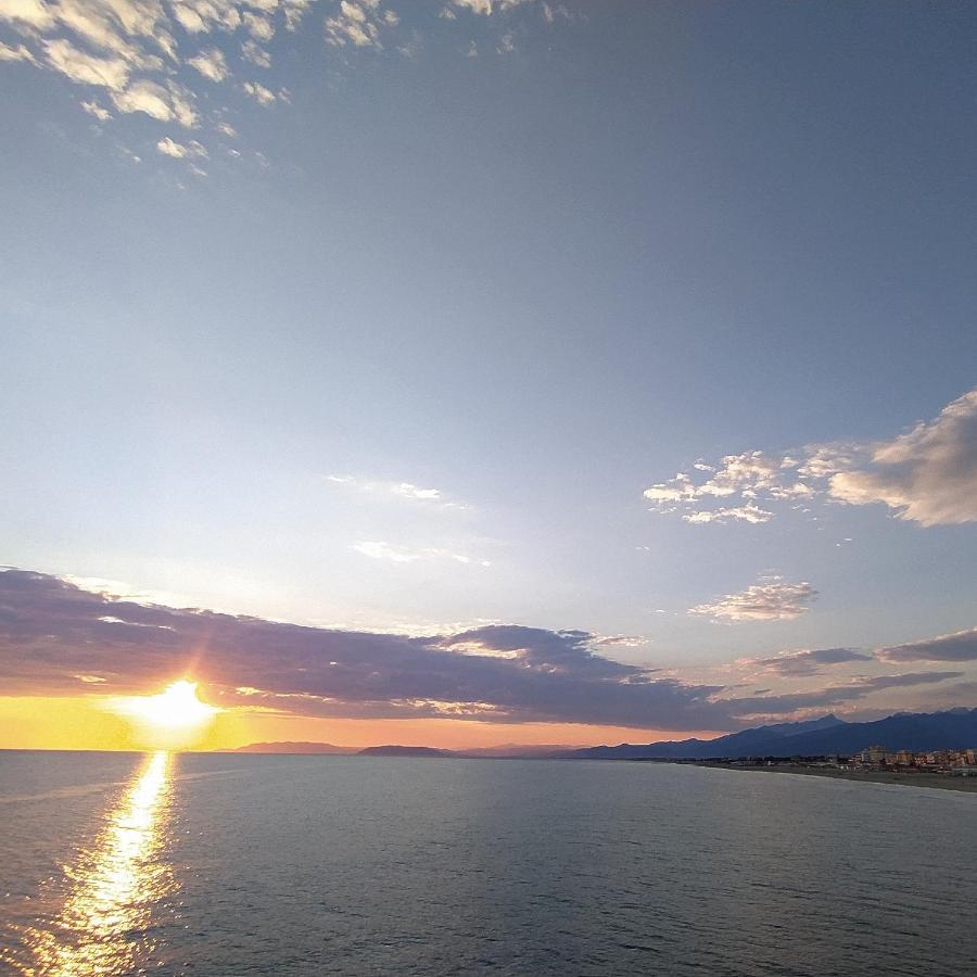B&B Villa La Bouganville Camaiore Eksteriør billede