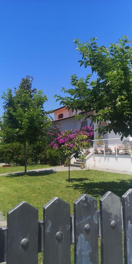 B&B Villa La Bouganville Camaiore Eksteriør billede