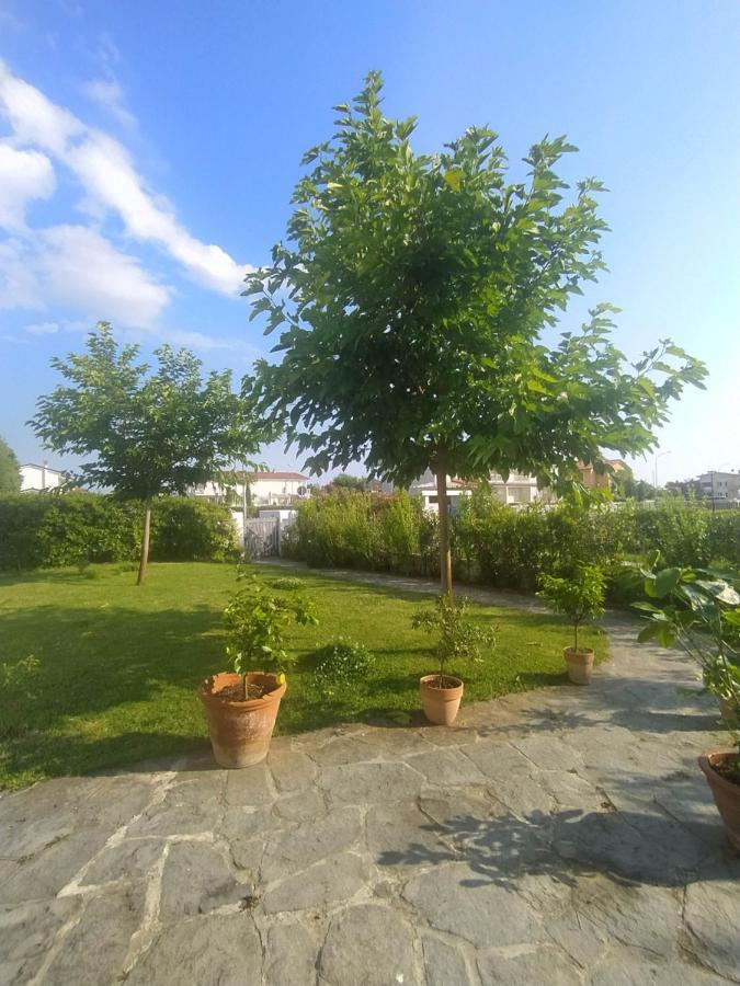 B&B Villa La Bouganville Camaiore Eksteriør billede
