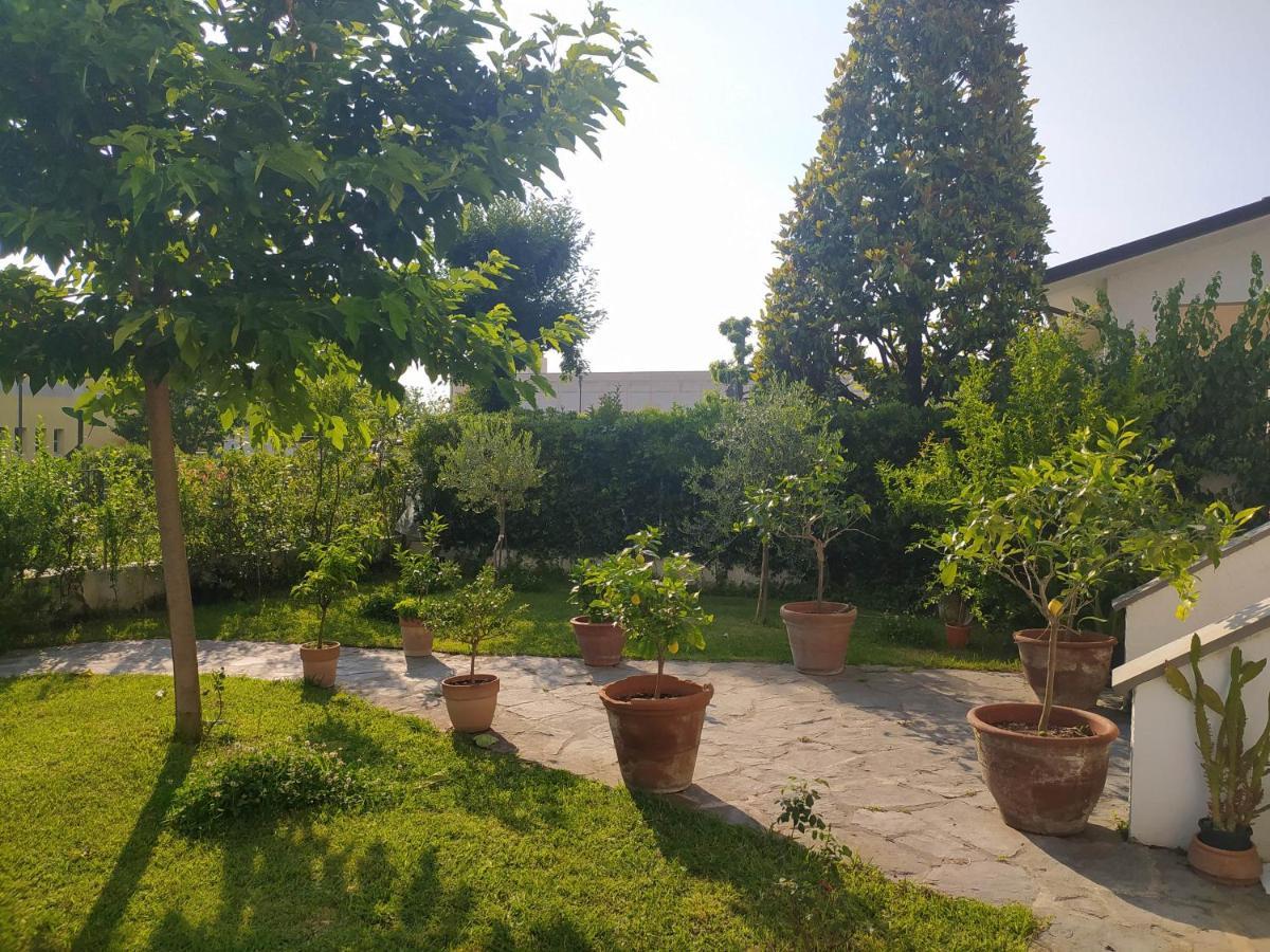 B&B Villa La Bouganville Camaiore Eksteriør billede