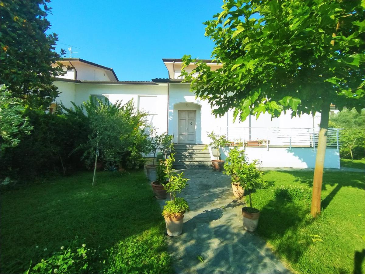 B&B Villa La Bouganville Camaiore Eksteriør billede