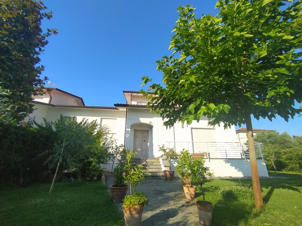 B&B Villa La Bouganville Camaiore Eksteriør billede