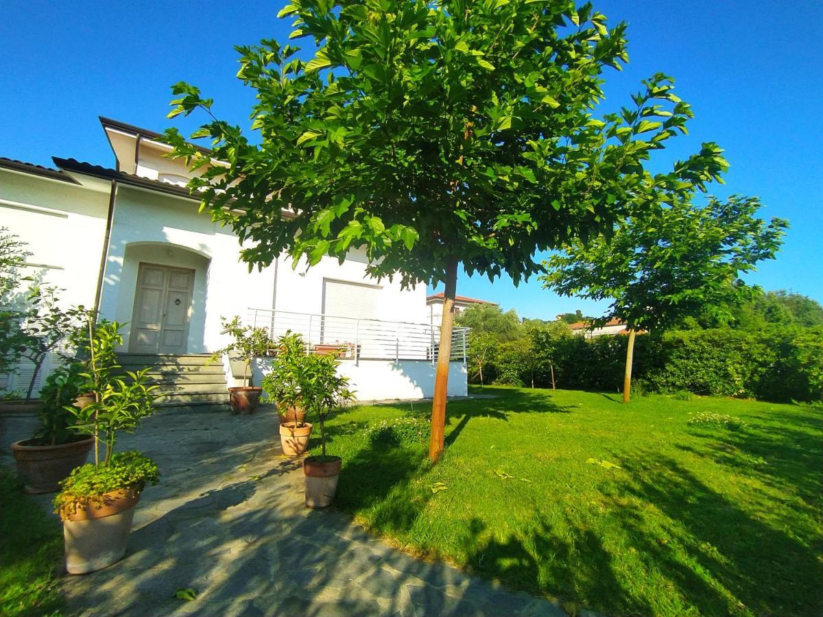 B&B Villa La Bouganville Camaiore Eksteriør billede