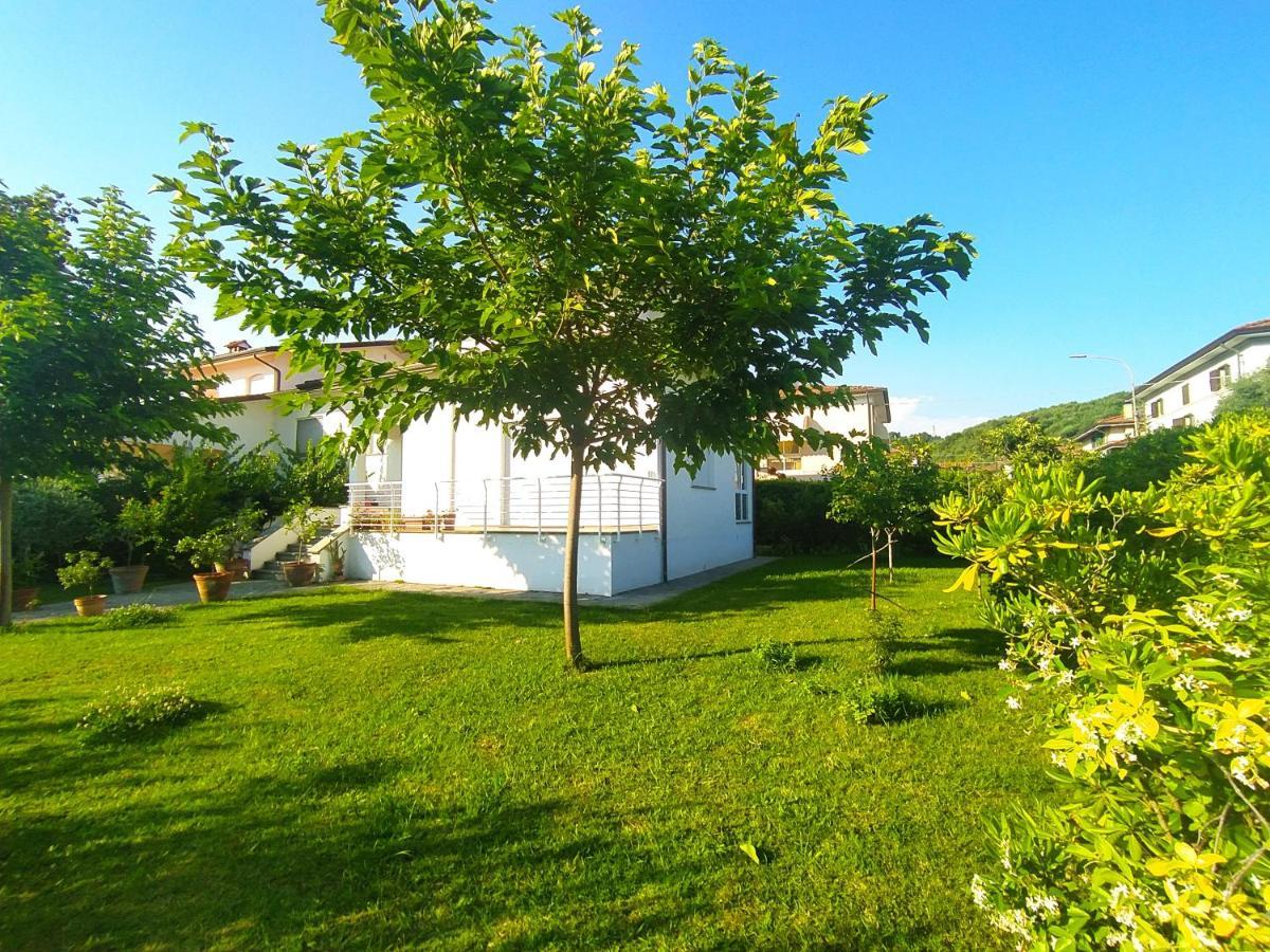 B&B Villa La Bouganville Camaiore Eksteriør billede