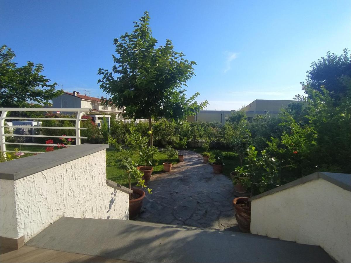 B&B Villa La Bouganville Camaiore Eksteriør billede