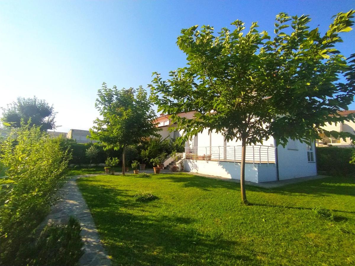 B&B Villa La Bouganville Camaiore Eksteriør billede