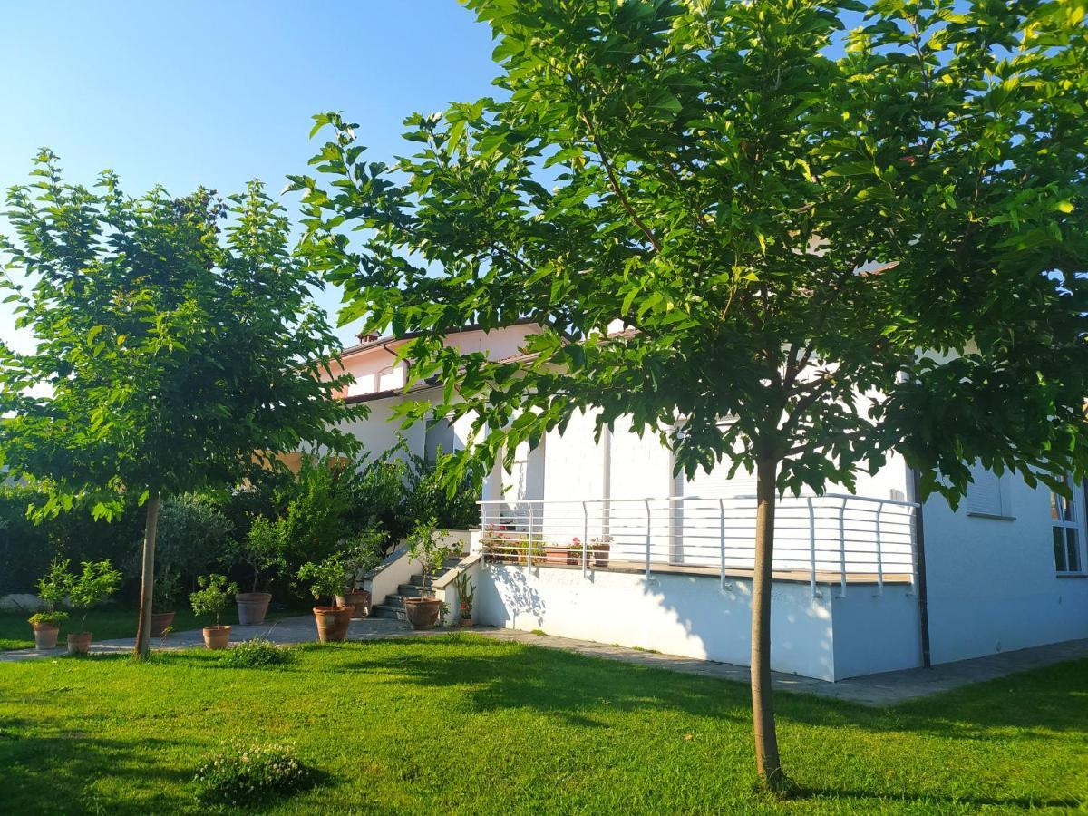 B&B Villa La Bouganville Camaiore Eksteriør billede