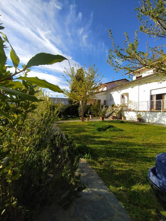B&B Villa La Bouganville Camaiore Eksteriør billede