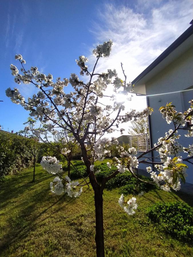 B&B Villa La Bouganville Camaiore Eksteriør billede